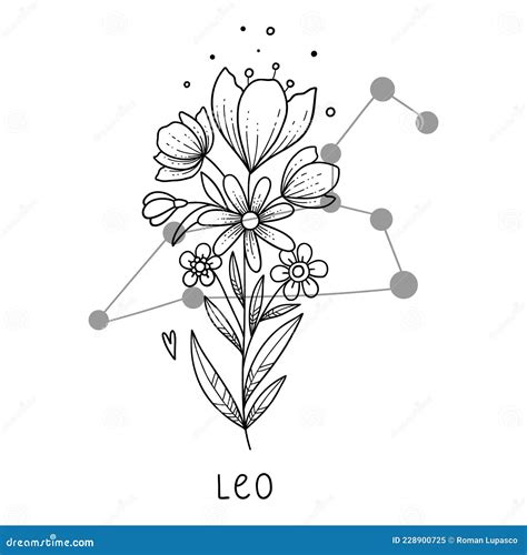 花橘子星座|花橘子星座 